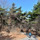 한국관광공사 추천 2월 걷기여행길,물과 함께하는 길 이미지