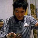 골목 돼지 이미지