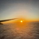 제주촌놈 | [N돌핀] 엔돌핀 제주촌놈 발대식 후기