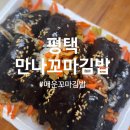 만나꼬마김밥 | 생활의 달인 매운김밥, 평택 만나꼬마김밥집 내돈내산 포장 후기