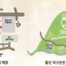 고초령 산양삼 이미지