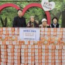 루미아트 이미지