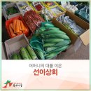 선이상회