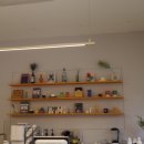 아웃오브오렌지(out of orange) 이미지