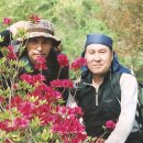 박상목 Daum카페