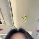 MTS KOREA | 2025 연말 결산 잘산템 소개 | 뷰티, 피부관리