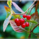 대천농장 이미지