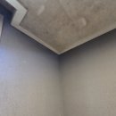 주식회사 바른기업 - 안동시 | 벽지 곰팡이 제거 내돈내산 곰팡이코리아 실력 인정
