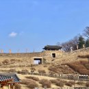 밤잉도넛
