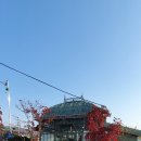 카페라로사 - 유성구 계룡로132번길 10 | 카페라로사