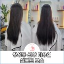 살롱드보스