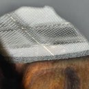 영카센타 이미지