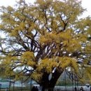 구월4동-13 이미지