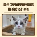 뽀송하냥 네이버블로그