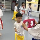 국가대표 한울태권도 이미지