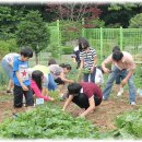 하예성사랑의집 이미지