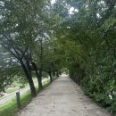 철산도서관 | 주말 공부하기 좋은 광명시립철산도서관 후기