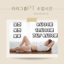 라라그룹피티