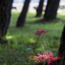 하동포구공원 이미지