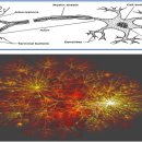 국우석한의원 이미지