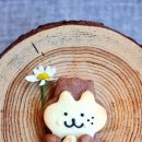 도토약국 이미지