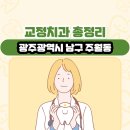 삼육 | 광주광역시 남구 주월동 교정치과 총정리