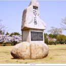 [한국]창원, 진해의 벚꽃 이미지