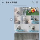 에브리댕 이미지