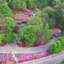 백야자연휴양림 오토캠핑장 이미지