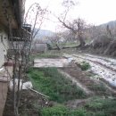 살미면사무소 이미지