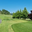 공무원연금관리공단 김해상록골프장 이미지