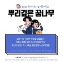 뿌리깊은꿈나무 이미지
