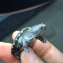 (주)바이브앤 이미지