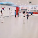 용인대MTA태권도장 이미지