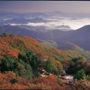 선경주유소 이미지