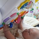 위에듀체육관 이미지