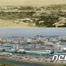 부성정비