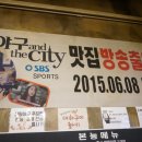 조개본능 이미지