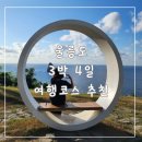 원더플독 | 💙 mbti J가 추천하는 울릉도 3박 4일 여행 코스(24년 8월 방문)