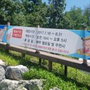 여성가족공원 물놀이장 이미지