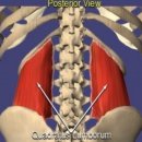 영짐(YOUNG GYM) 이미지