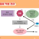 아스피린 효능 아스피린 두통 부작용 아스피린 중독 증상 주의점 이미지