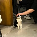 신갈마로-11 | 대전 여행 ➁ 대전 찐맛집 모음zip