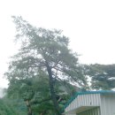 달빛이머무는둥지 이미지