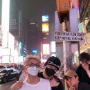 수목금 이미지