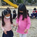 나곡초등학교(병설) 이미지