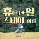 스테이 서하 이미지