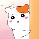 럭키찬스