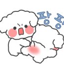봉개고깃집