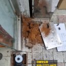 유리약국 이미지